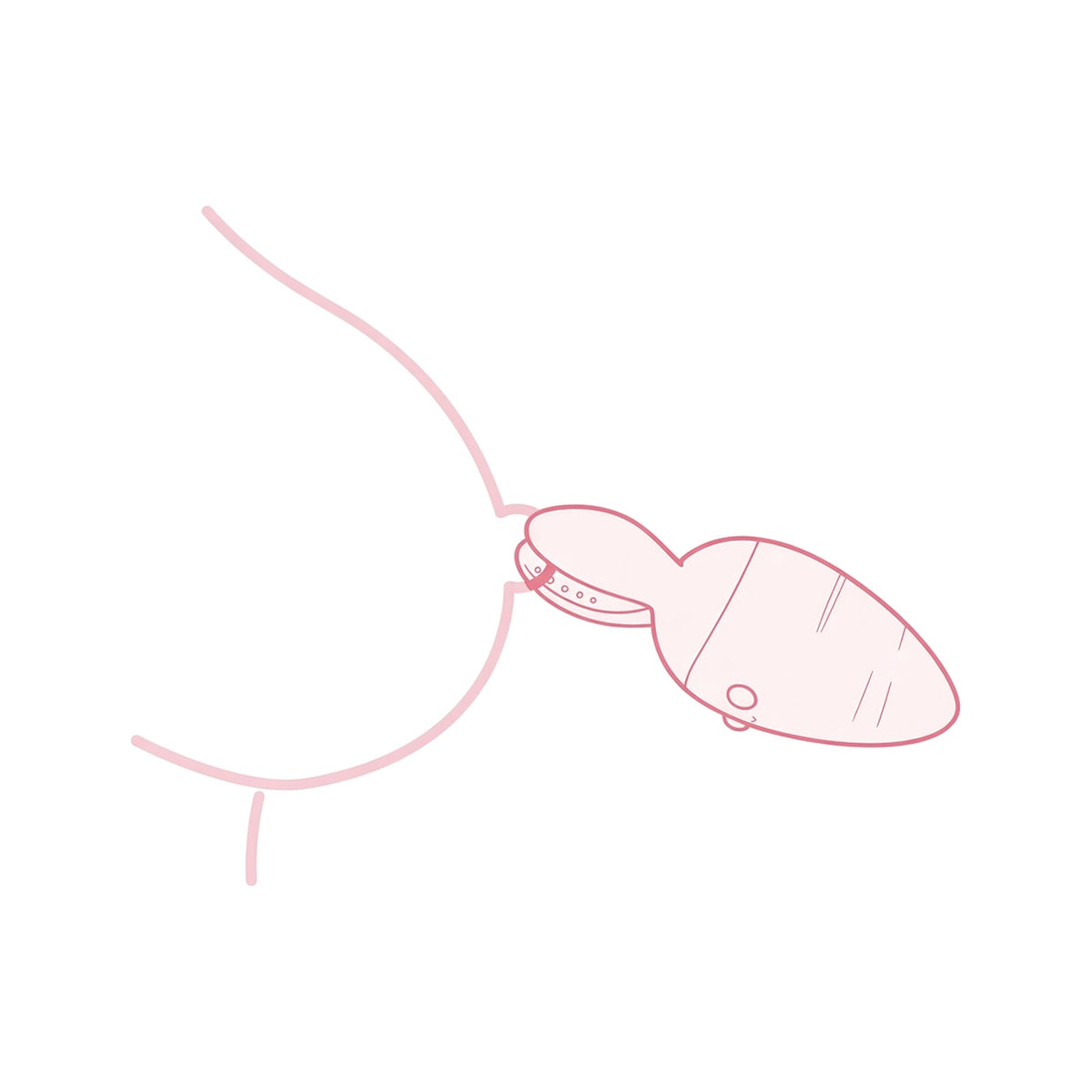 Carrot Patch Twin Vibrators