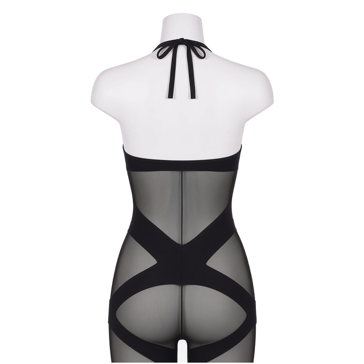 Under Wraps Bodystocking in sheer black, back view